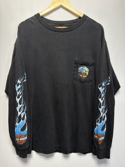 2002 Harley Davidson Myrtle Beach Long Sleeve Flames T-Shirt