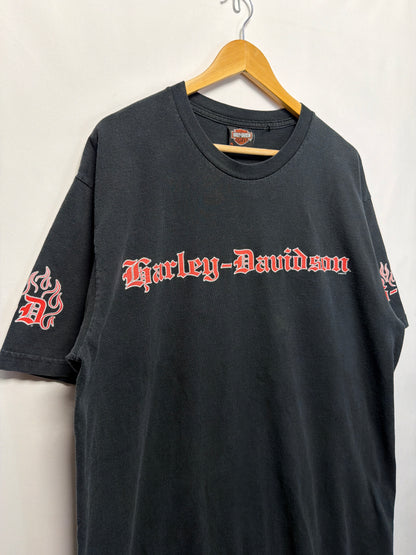2003 Harley Davidson Flames Ray Price T-Shirt