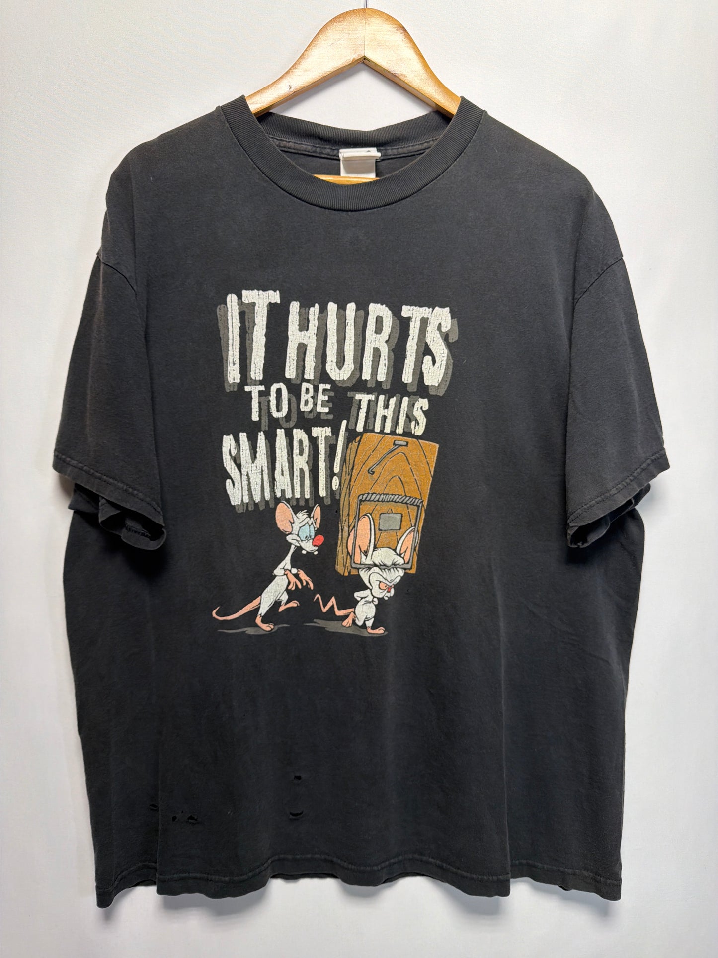 1999 Pinky & The Brain It Hurts To Be This Smart! T-Shirt