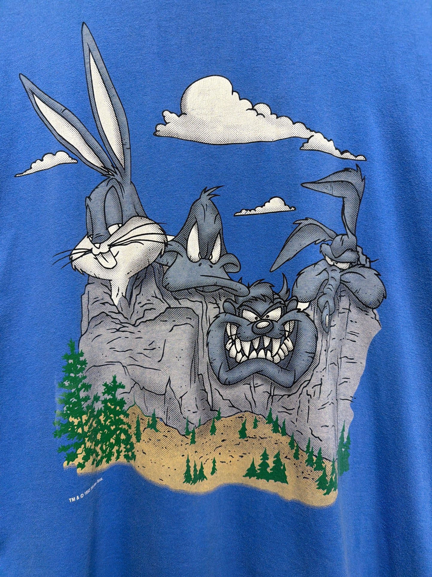1993 Looney Tunes Mount Rushmore T-Shirt