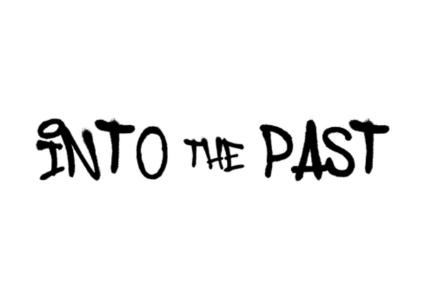 Into The Past Vintage